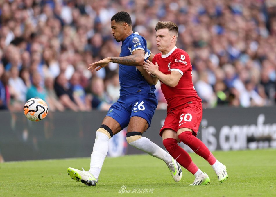 和波黑的这 和波黑的这